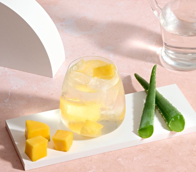 Aloe Vera Getränkekonzentrat 473 ml