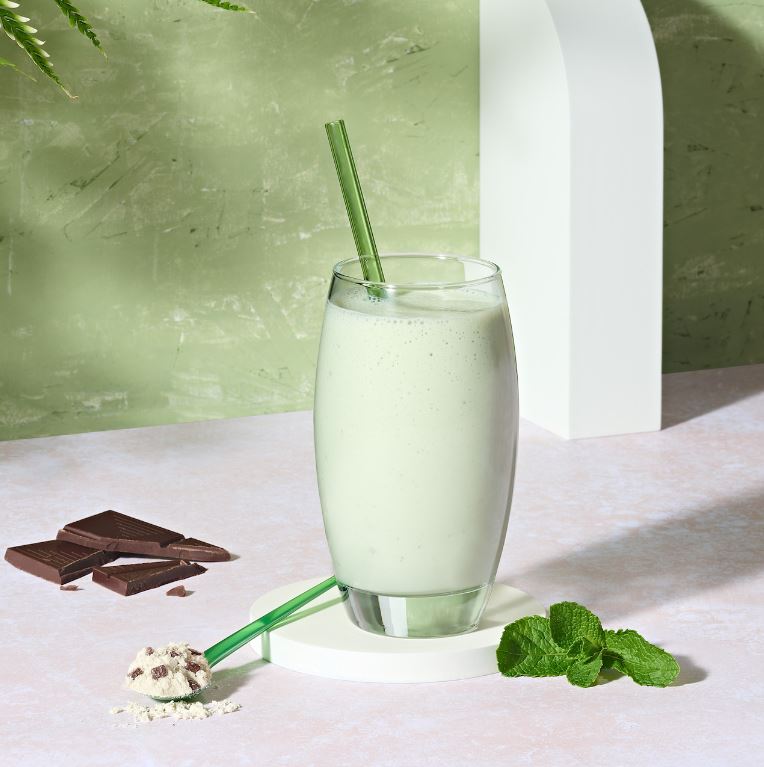 Formula 1-Shake Gesunde Mahlzeit 550 g