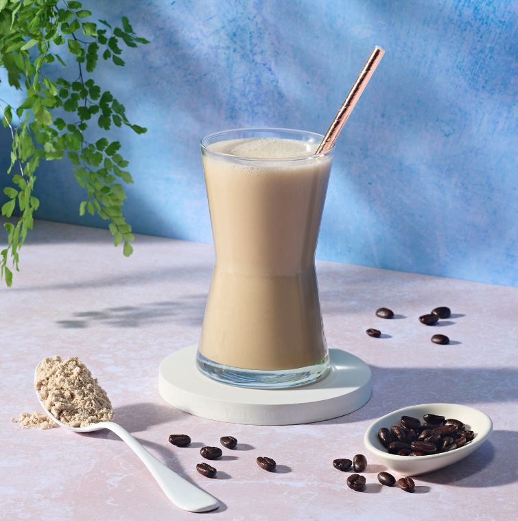 Formula 1-Shake Gesunde Mahlzeit 550 g